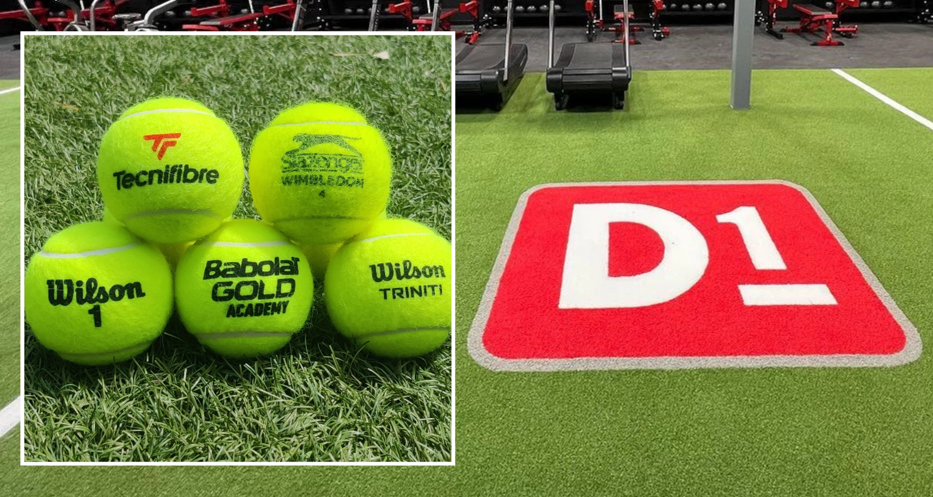Tennis Balls D1