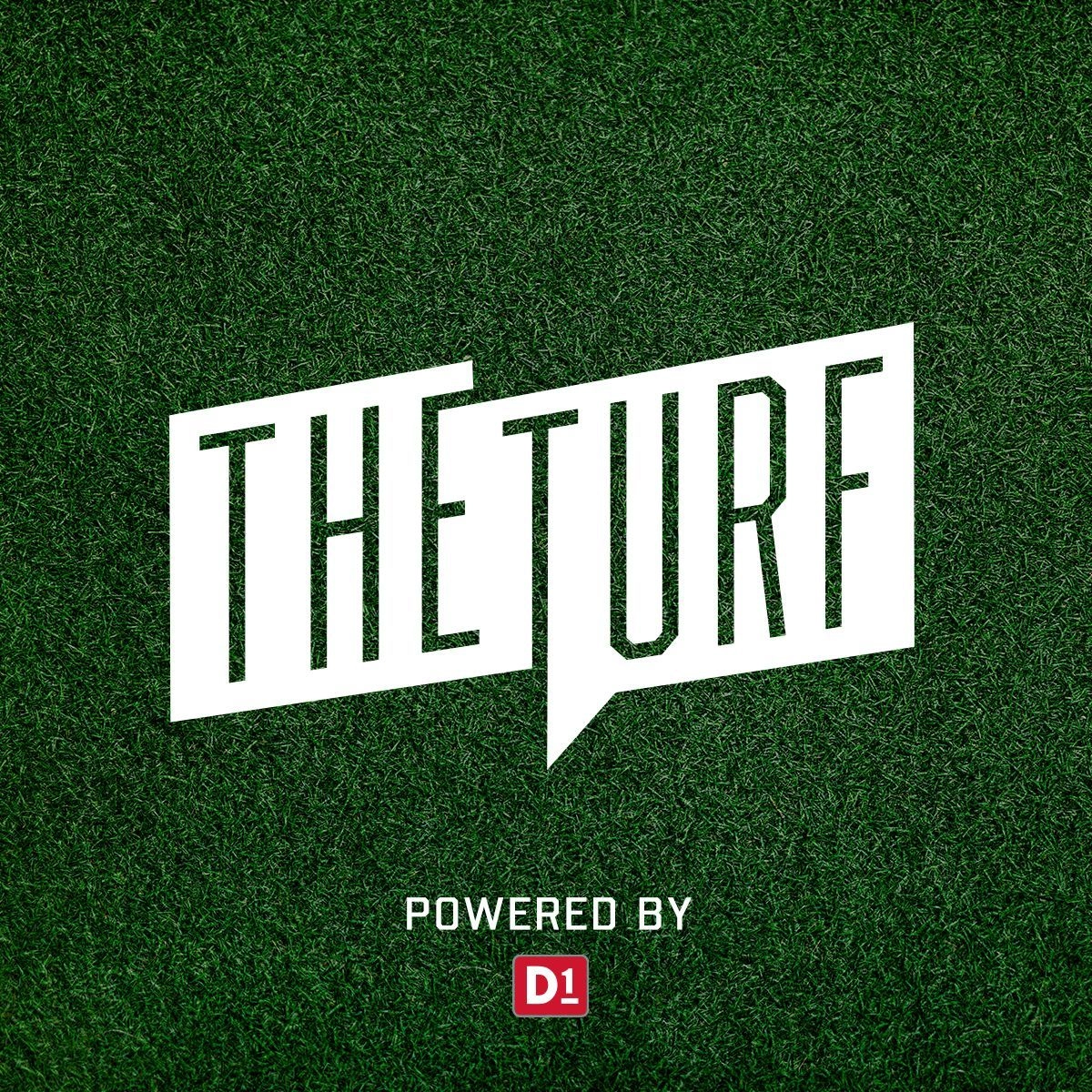 The Turf D1 logo