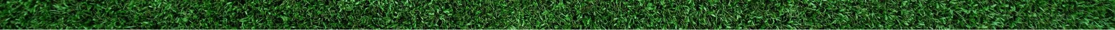 Turf