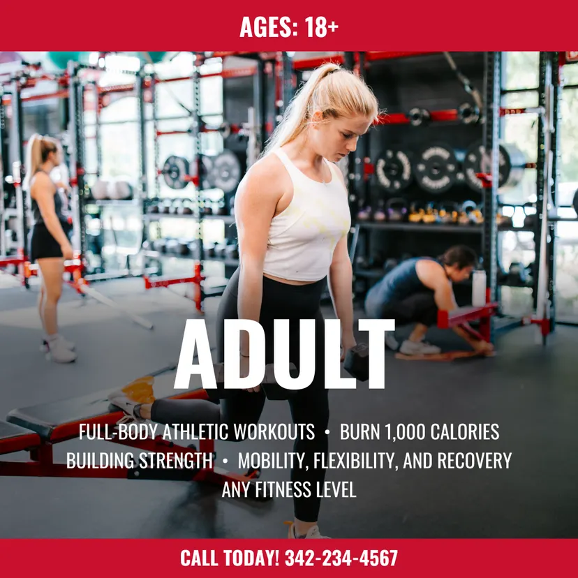 Adult Workouts